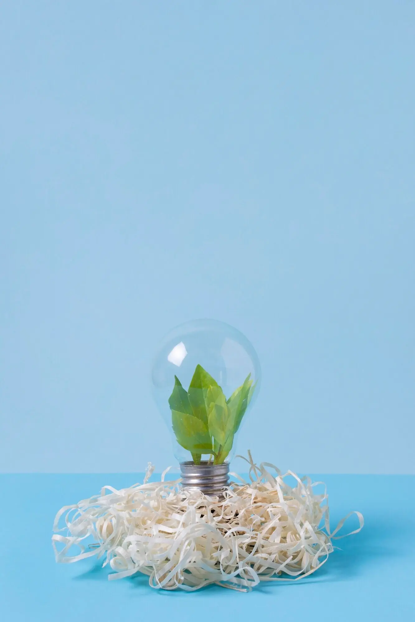 Nachhaltigkeitskonzept im Stillleben